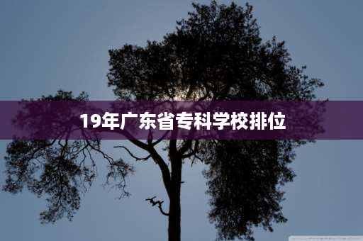 19年广东省专科学校排位 南方大专学校排名？
