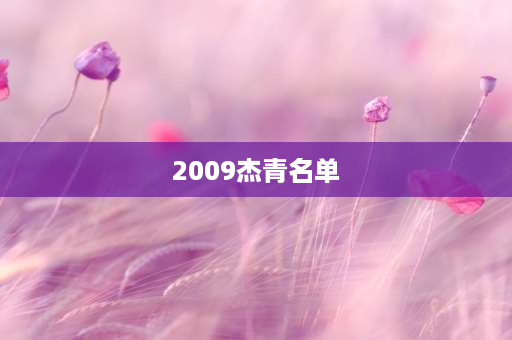 2009杰青名单 林志颖，资料介绍？