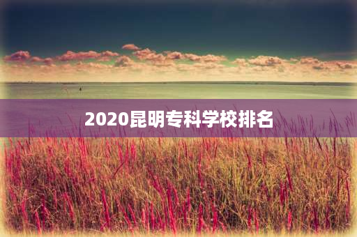 2020昆明专科学校排名 云南大学专科学院排名？