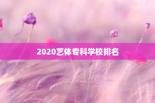 2020艺体专科学校排名 2021山东艺术学院排名全国排名榜？