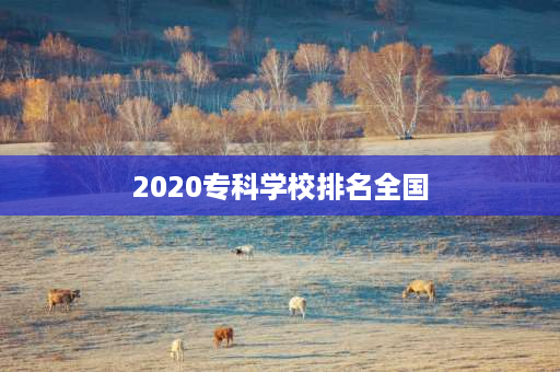 2020专科学校排名全国 2020年温州的专科大学排名？