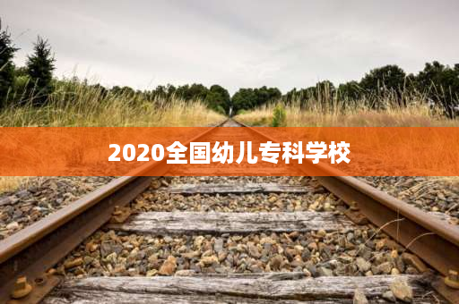 2020全国幼儿专科学校 2020邯郸幼师单招分数线？