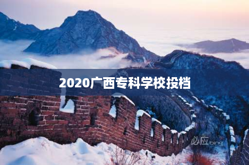 2020广西专科学校投档 2020年广西学考过关分数线？