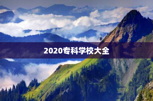 2020专科学校大全 2021山东专科学院排名？