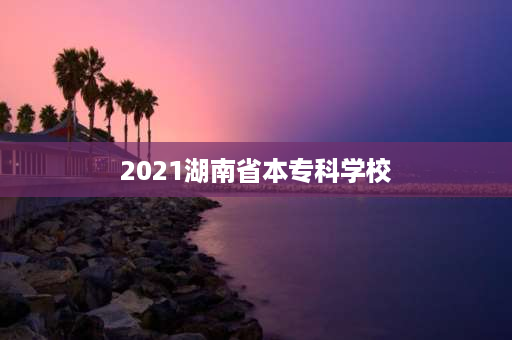 2021湖南省本专科学校 湖南大专寒假放假时间？