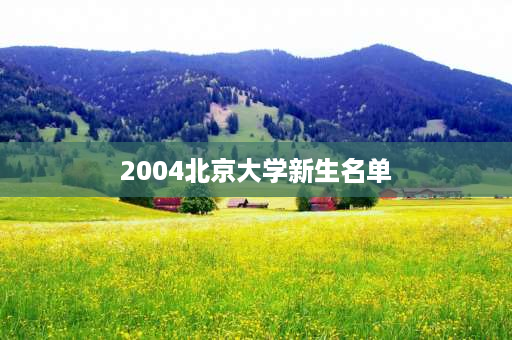 2004北京大学新生名单 2004年是几大会议？