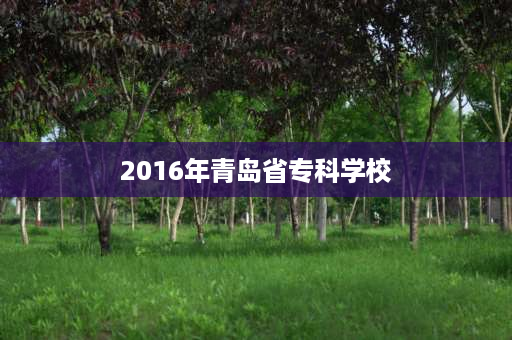 2016年青岛省专科学校 2023年青岛农业大学有专科专业吗？